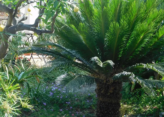 Stella Marina Sea & Sun 4*