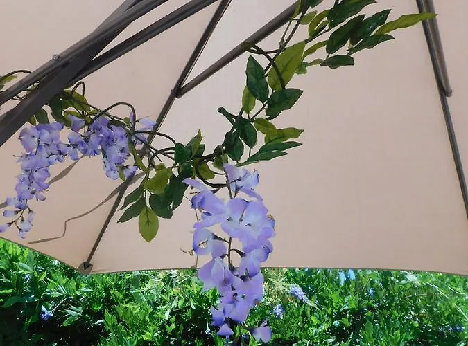 Stella Marina Sea & Sun 체팔루