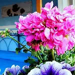 Bed & Breakfast Stella Marina Sea & Sun