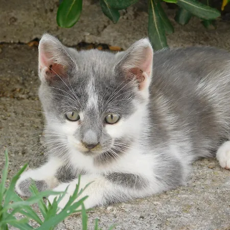 Stella Marina Sea & Sun Cefalù