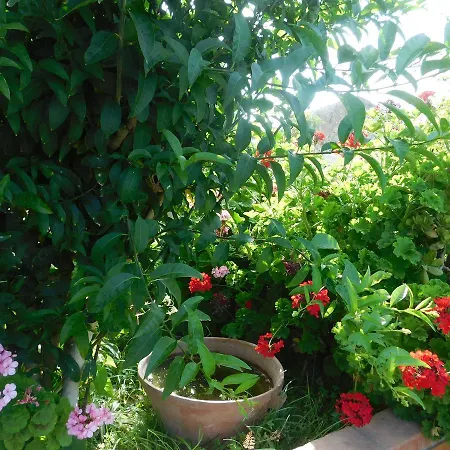 Stella Marina Sea & Sun Frühstückspension