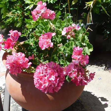 Stella Marina Sea & Sun 4* Cefalù