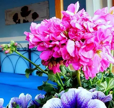 Bed & Breakfast Stella Marina Sea & Sun