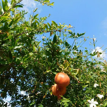 Stella Marina Sea & Sun