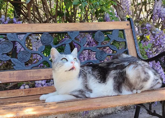 Bed & Breakfast Stella Marina Sea & Sun Cefalù