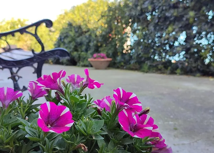 Stella Marina Sea & Sun Bed & Breakfast Cefalù