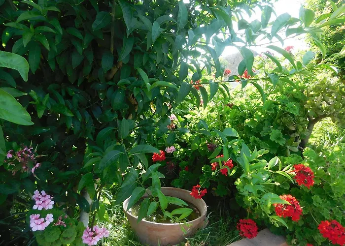 Stella Marina Sea & Sun Отель типа 