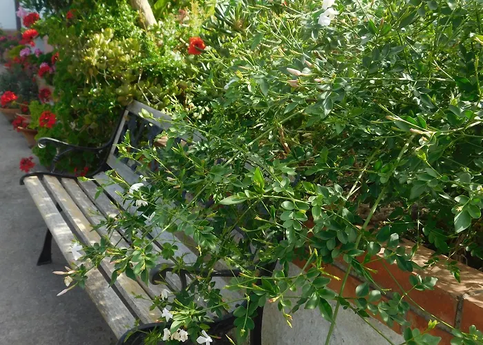 住宿加早餐酒店 Stella Marina Sea & Sun 切法卢