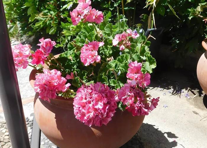 Stella Marina Sea & Sun 4* Cefalù