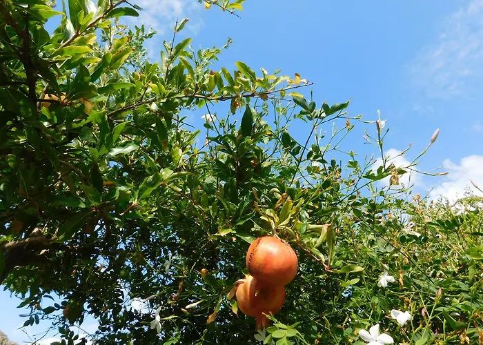 Stella Marina Sea & Sun